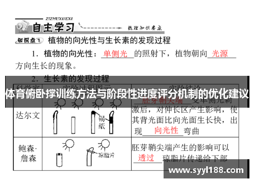 体育俯卧撑训练方法与阶段性进度评分机制的优化建议